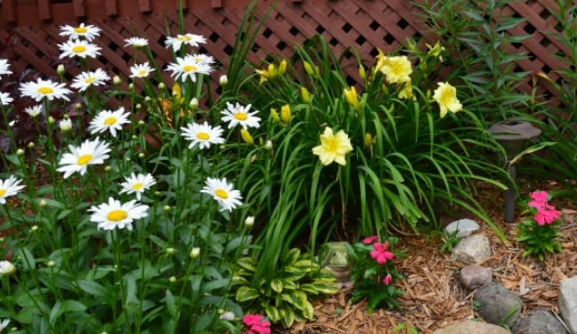 Flower bed maintenance