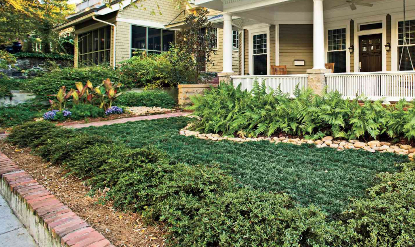 Crafting a Cozy Haven with Small Front Yard Landscaping Design!